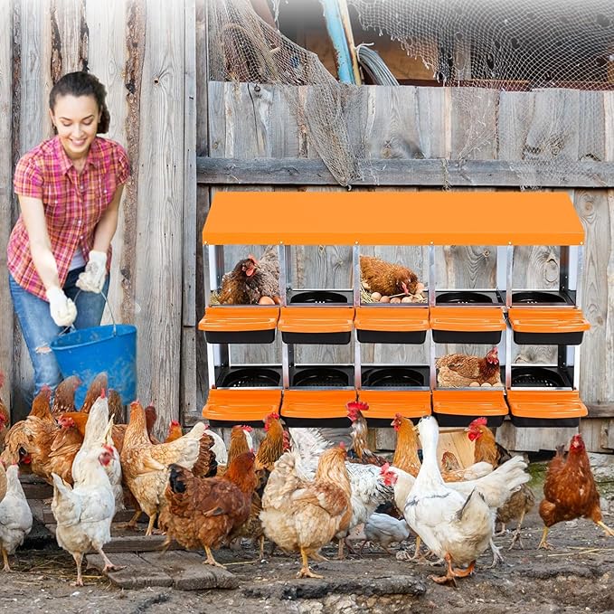 Two-Tier Chicken Nesting Box, 10 Hole Metal Chicken Egg Laying Box with Swing Perch and Rollout Egg Collection Applicable to Coops and Duck Houses Orange.
