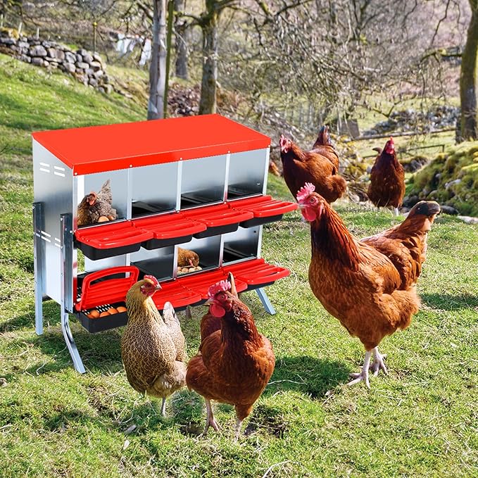 Chicken Nesting Box, 2-Tier Chicken Laying Boxes for Hens, 10 Hole Nesting Boxes for Chickens, Roll Away Nest Box for Laying Eggs, Roll Out, Easy Egg Collection (Red, 8-Holes with Legs)