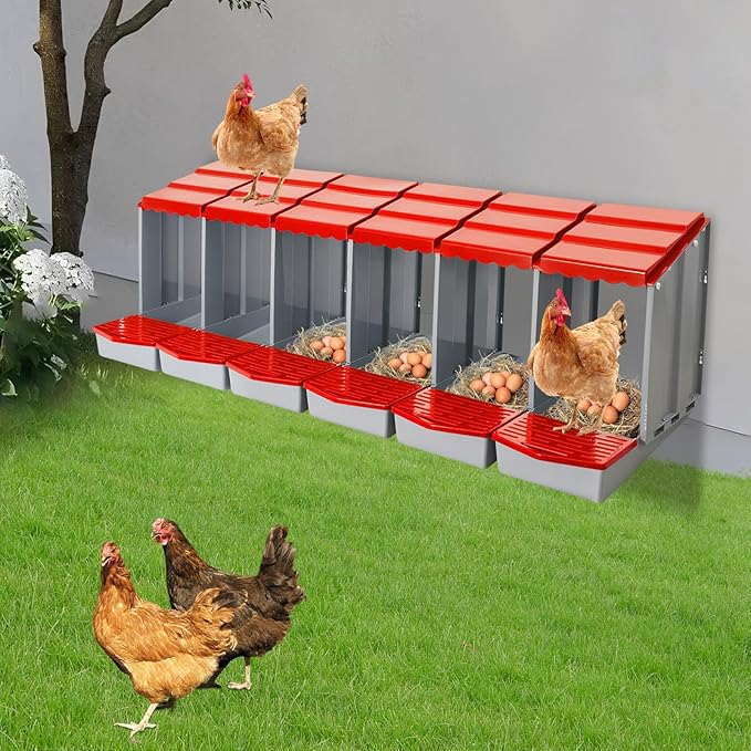 Chicken Nesting Boxes 6 Compartment PP Nesting Box with Inclined Nesting Boxes & Vented Holes Wall Mount Chicken Laying Boxes for Chicken Coop (Red)