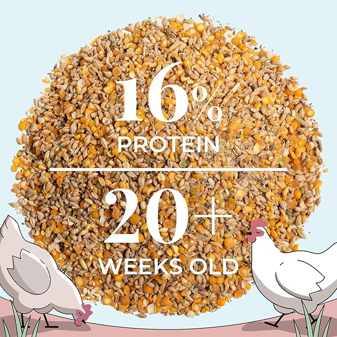 Mile Four Organic Chicken Feed Kit | Feeds 10 Layer (20+ Weeks) Chickens for 4 Weeks | Feed (69 lb), Grit (12 lb), Oyster Shell (16 lb) | Whole Grain