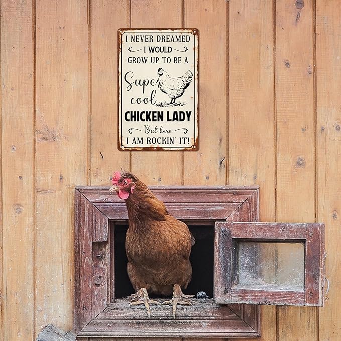 Vintage Metal Chicken Lady Sign - 8x12 Inch Wall Decor for Farmhouse & Chicken Coop