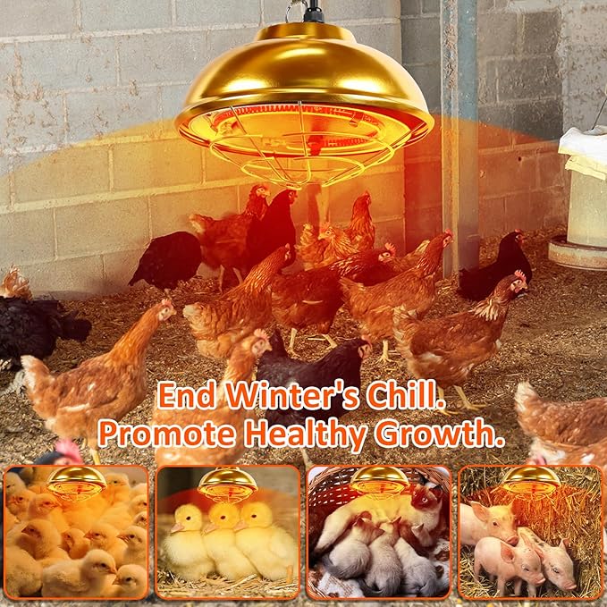Heat Lamp for Chickens Coop Heater,350W Chick Brooder Heater for Chicks Poultry Coop,Small Pets Heating Warmer Lamp for Winter Indoor/Outdoor Ducks Rabbit Dogs W/ 2 Adjustable Temp(350W/180W)