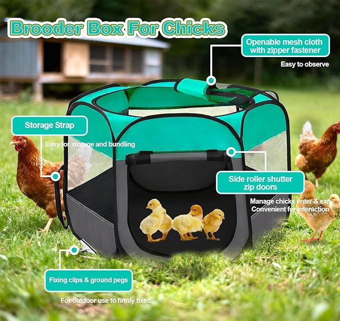 Pop Up Chicken Brooder Starter Kit - Easy to Assemble, Portable & Easy to Clean Brooder Box for Baby Chicks & Ducklings