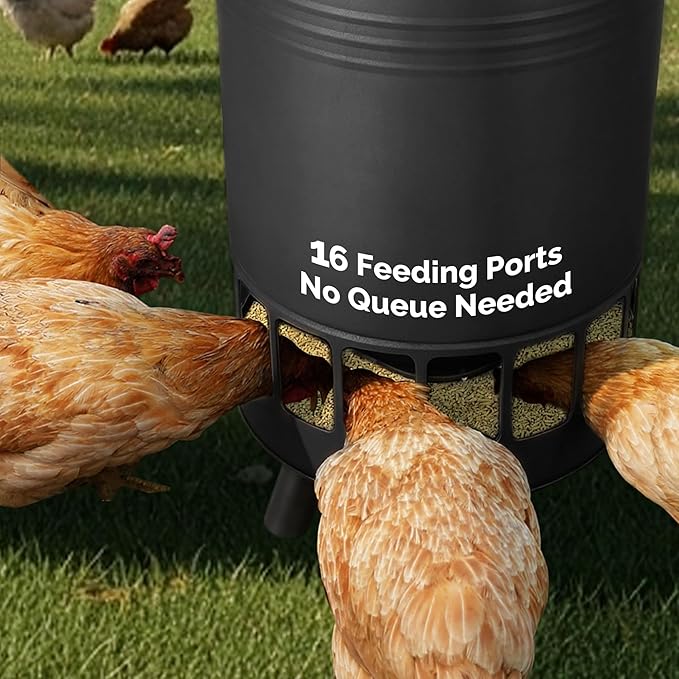 Solution4Patio 65 LB Large Chicken Feeder No-Waste, Portable Gravity Chicken Feeder Automatic, Dispenser, 16 Feeding Ports Poultry Feeder, Hen Coop (Black)