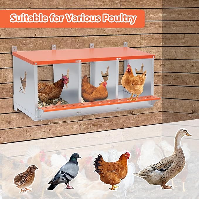 Chicken Nesting Boxes, 3 Hole Metal Chicken Egg Laying Box with Chicken Nesting Pads and Roll Away Egg Collection Easy Egg Collection for Chicken Coop, Backyard, Farms Orange Backyard, Farms Orange