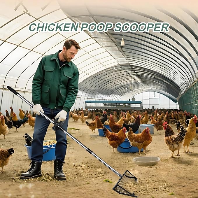 10" Chicken Poop Scooper & Rake Pooper Scooper Head for Sand Chicken Litter Scoop with Handle Litter Sifting Shovel with 29" to 56" Adjustable Handle Chicken Coop Accessories Tool for Clean