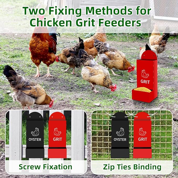 2-Pack Metal Chicken Grit and Oyster Shell Feeder with Drainage Holes -Perfect Backyard Coop Accessory