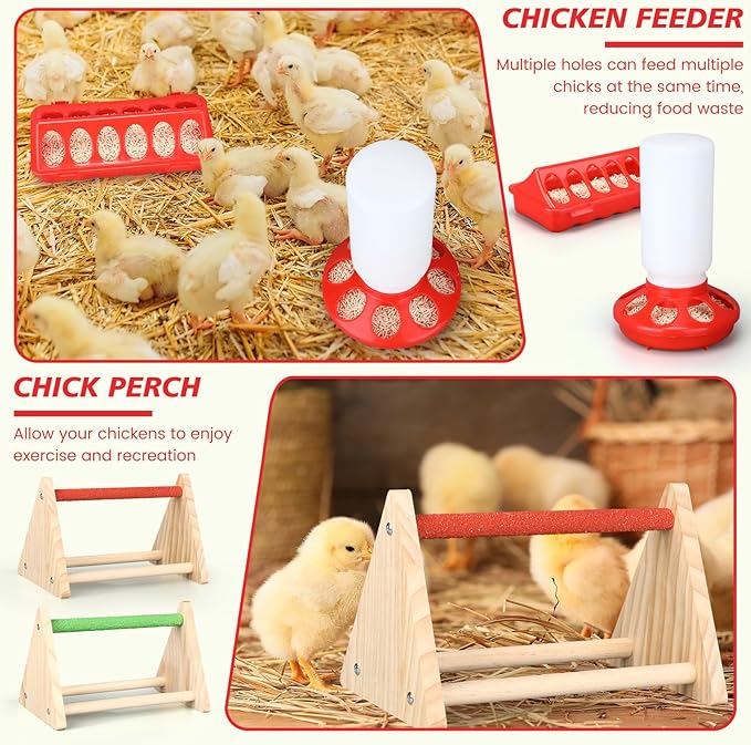 8 Pcs Brooder Box for Chick Starter Kit Include Brooder Heating Plate Chicken Pen Chicken Waterer Feeder Perch Flip Top Poultry Feeder Brooding Box Heat Poultry Waterer for Chick Duck