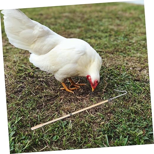 UPKOCH Poultry Catcher Leg Hook Tool Chicken and Duck Catching Rod Comfortable Grip for Farm Use Efficient Capture of Poultry and Livestock Sturdy Construction for Long-Term Reliability