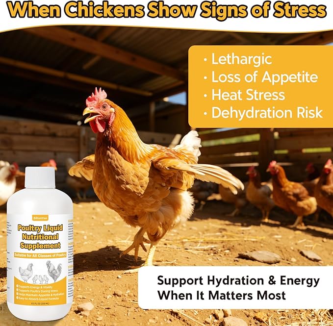 Liquid Poultry Supplement for Chickens, 8.5 fl oz – Energy & Vitamin Support for Weak or Stressed Birds, Ideal for Heat Stress, Appetite & Recovery, Mix in Water or Direct Oral Use, Dropper Included