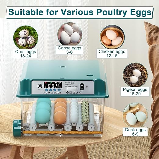 16 Eggs Incubators for Hatching Eggs, Egg Incubator with Automatic Egg Turning and Temperature Control, Chicken Egg Incubators with Egg Candler for Duck Goose Pigeon Quail