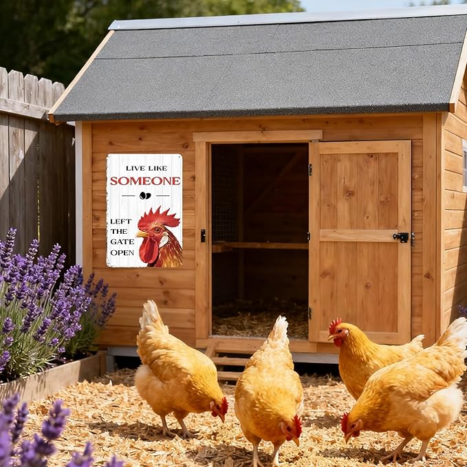 Chicken Kitchen Decor Funny Chicken Gifts Kitchen Wall Decor Farmhouse Country Garden Sign For Yard Home Hen House 8×12 Tin Sign