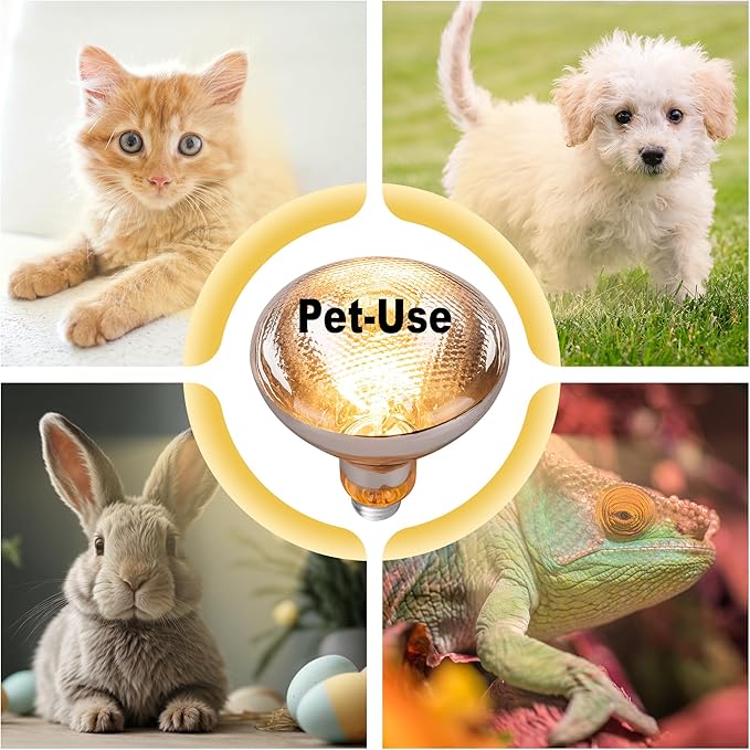 250 Watt Heat Lamp Bulbs for Chickens, PAR38 Clear Glass Brooder Heat Lamp, Infrared Reflector Heat Bulbs for Pets, Bathroom, Food, Light Therapy 2 Pack
