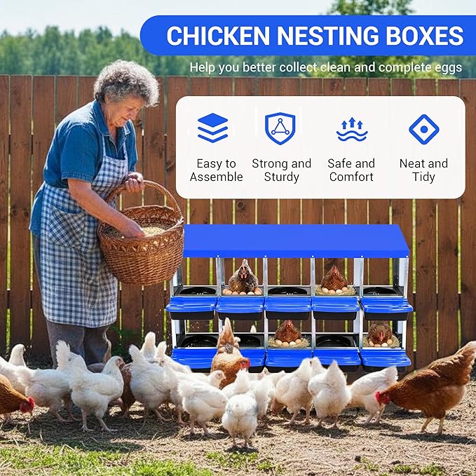 Chicken Nesting Box 10-Hole Roll Away Egg Laying Box with Lid, Galvanized Steel Rustproof Poultry Coop Box, Easy Clean, Wall Mountable No Bracket Needed for Hens, Blue