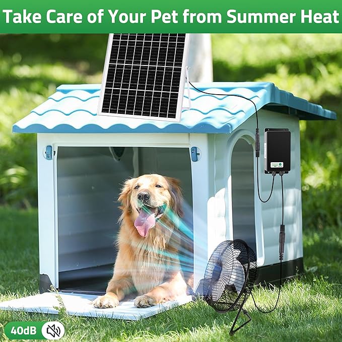 8" Solar Rechargeable Fan, 25W Solar Powered Floor Fan with 66.6 Wh Battery Backup for Outdoor Greenhouse, Chicken Coop, Pet House Air Circulation Cooling
