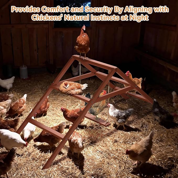 PETSFIT Wooden Chicken Perch & Roosting Bars for 10-12 Chickens– 3-Layers Design with Swing, Durable Fir Solid Wood for Outdoor Coops, Easy Assembly & Cleaning, Promotes Healthy & Happy Chickens