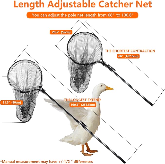 Catch Net Small Animal Control Net Poultry Catching Trap Tool for Cat, Chicken, Duck, Goose, Fish, Bird and Others (43~78" Telescoping Handle with 20.5" Net Opening)