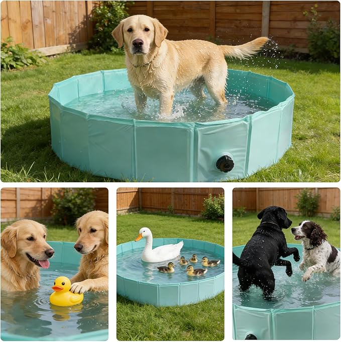 Chicken Dust Bath Tub, 32.3" D * 8" H Foldable Bathing Pool with Waterproof Cover & Feeder Net, Dust Bath for Chickens & Duck Tub, Dog Pool, Multi-Pet Coop Accessory (Green)