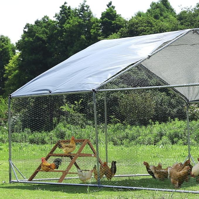 PETSFIT Roosting Bars for Coop Accessories, Chicken Perches with Swing are Perfect for 8-10 Chickens, Wooden Chicken Ladder for Pet's Healthy & Happy, Easy to Assemble&Clean