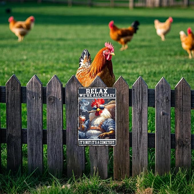 Funny Chicken Signs Relax,We're All Crazy Aluminium Sign Metal Chicken Signs Decor Home Ktichen Farm Are Wall 12x8 Inch Vintage Chicken Signs For Coop Metal Tin Signs Poster