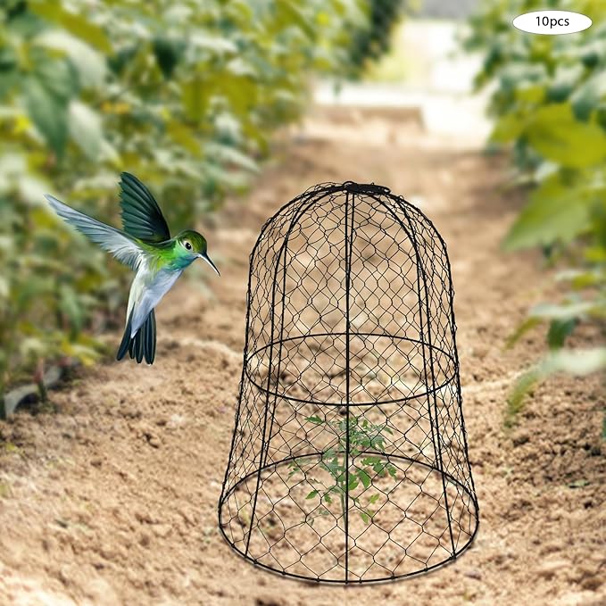YIYIBYUS Garden Chicken Wire Cloche, 12.99" Diameter x 15.75" Height Plant Protective Covers Metal Cage Plant Protector Cover for Gardens, Parks, Yards, Balconies, Farms (10pcs, Black)