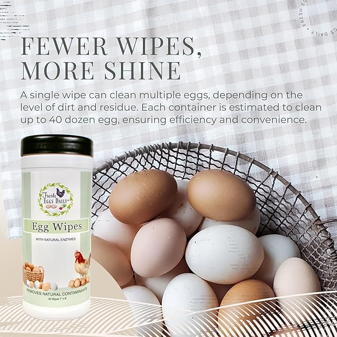 Fresh Eggs Daily Egg Wipes – Enzyme-Based Egg Cleaner for Backyard Chickens, No Rinse Needed, Natural Enzyme Formula – 40 Natural Cleaning Wipes