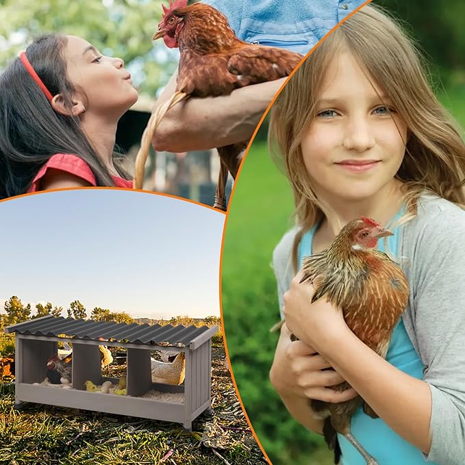 38" L Chicken Nesting Boxes,3 Holes Wooden Chicks Laying Boxes with PVC Roof,Chicks Brooder Box for Laying Eggs for Hens Chicken Duck,Grey