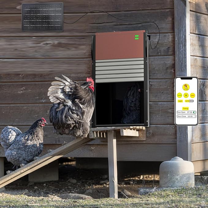 Automatic Chicken Coop Door, Chicken Door Programmable with App,Solar Chicken coop Door.Chicken Coop Door Timel& Light Sensor,Anti-Pinch,Remote Control,USB Rechargeable