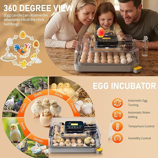 Winado Incubators for Hatching Eggs, 48 Egg Incubator with Automatic Egg Turning, Temperature & Humidity Control, Egg Candler, Automatic Water Filling and Day Counter for Eggs Hatching