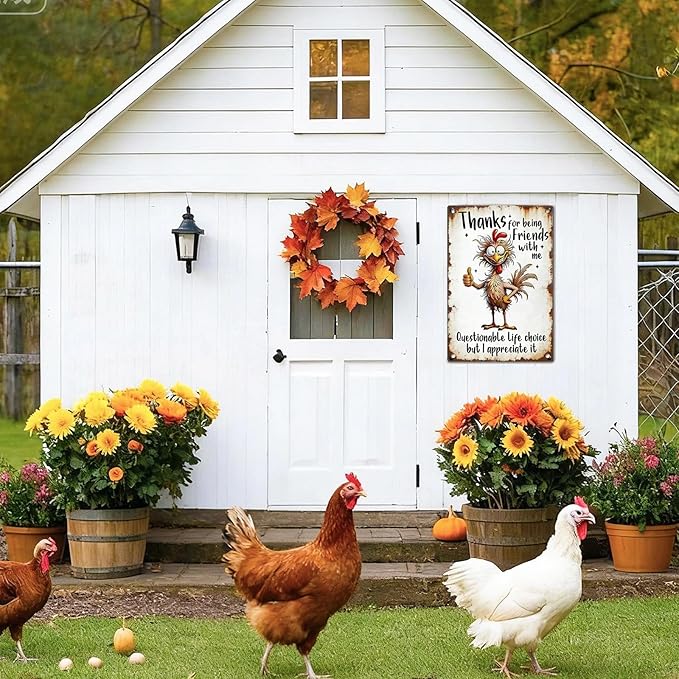 Funny Chicken Signs - Chicken Coop Thanks For Being Friends With Me Tin Signs For Lovers Gifts Outdoor Home Farm Wall Art Decor 8x12 Inch