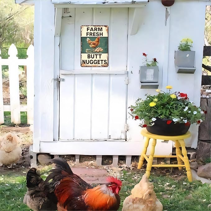 Funny Chicken Coop Sign Farm Fresh Butt Nuggets Tin Sign Vintage Metal Sign for Farm Yard Wall Decor Tin Sign 8x12 Inch