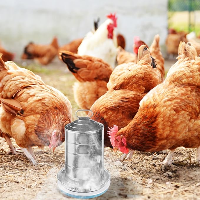 Chicken Water Heater, 110V Heated Waterer for Chickens Winter Use, Automatic Thermostat Control Heating Plate for Ducks Birds (10 inch) Heated Chicken Waterer, Coop Accessories, W