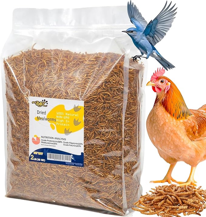 RANZ 2LBS Non-GMO Dried Mealworms for Chickens, High Protein Meal Worms, Premium Chicken Feed, Whole Large Mealworms for Blue Birds, Ducks, Fish
