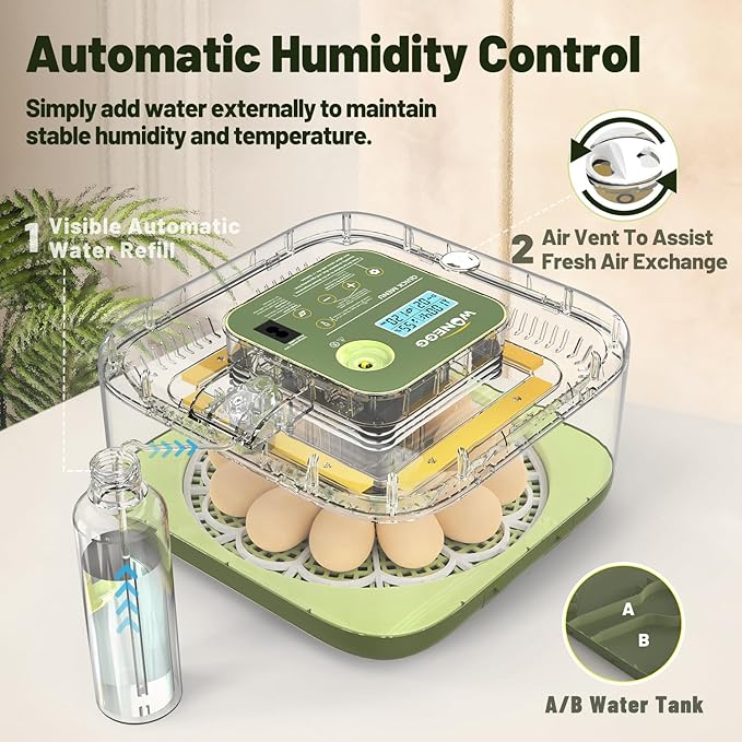 12 Egg Incubator with Automatic Egg Turning and Humidity Control, LED Egg Candling Light, Customized Incubation Days, Incubators for Hatching Eggs, Chicken Quail Parrot Pigeon Birds, Green