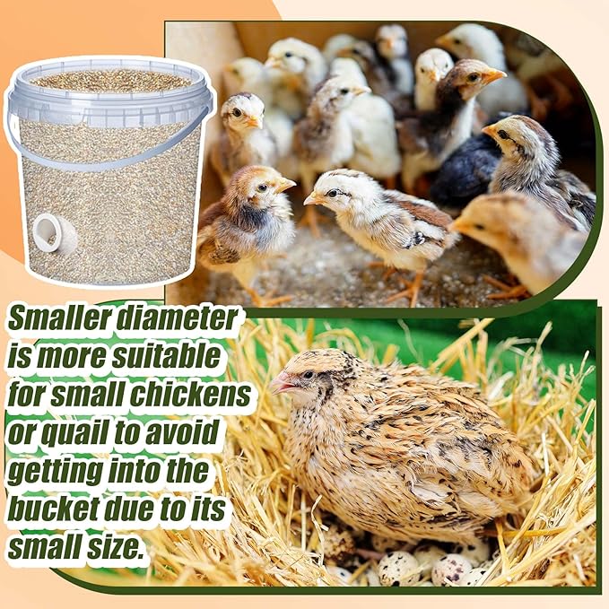 40 Pack Quail Feeders No Waste Chicken Feeder Port DIY Chick Feed Saver Quail Supplies for Coturnix Small Poultry Farm Bucket Bin Container (1.5 Inch,White)