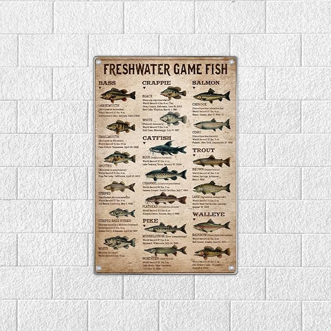 Freshwater Game Fish Chart Metal Sign Vintage Educational Wall Decor For Fishing Enthusiasts Anglers Man Cave Lake House Cabin Garage 8 x 12 Inch Home Indoor