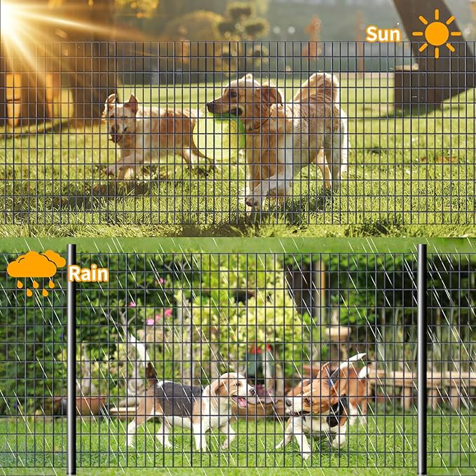 Welded Wire Fence PVC Coated Chicken Wire Fencing Roll,2 Inch x 3 Inch 16GA Garden Fence,36 Inch x 50 Foot Metal Poultry Netting Use for Animals Yard Vegetable Plant Protection