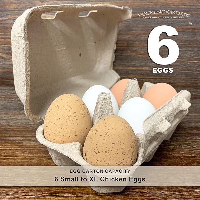 6-Egg Paper Egg Cartons - 24 Pack