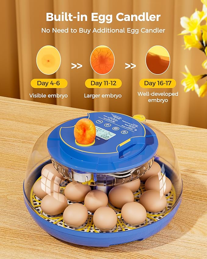 18 Incubators for Hatching Eggs, Automatic Egg Turning and Humidity Control, 360 View, Suitable for Chickens, Ducks, Quails, and Other Birds