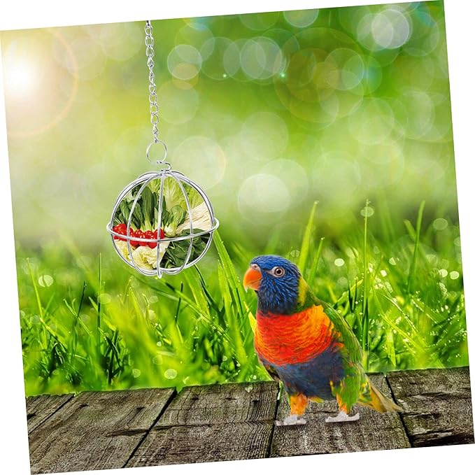 Hanging Stainless Steel Chicken Feeder Holder 2Pcs Ball Shape Poultry Vegetable Treats Feeders for Chickens and Chicks