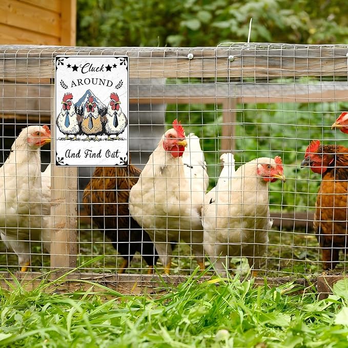 Vintage Chicken Coop Tin Sign Chicken Cluck Around And Find Out Retro Rooster Metal Poster Funny Pet Lovers Wall Art Decorations for Bar Farmhouse Garden Plaque 12 * 8inch