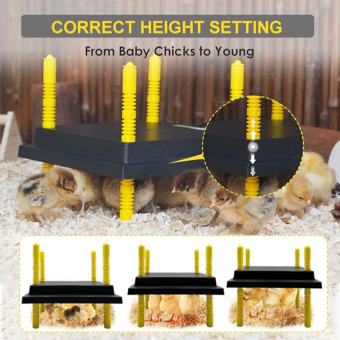 Chick Brooder Heating Plate, 12" x 12" Brooder Heater for Chicks with Adjustable Heights
