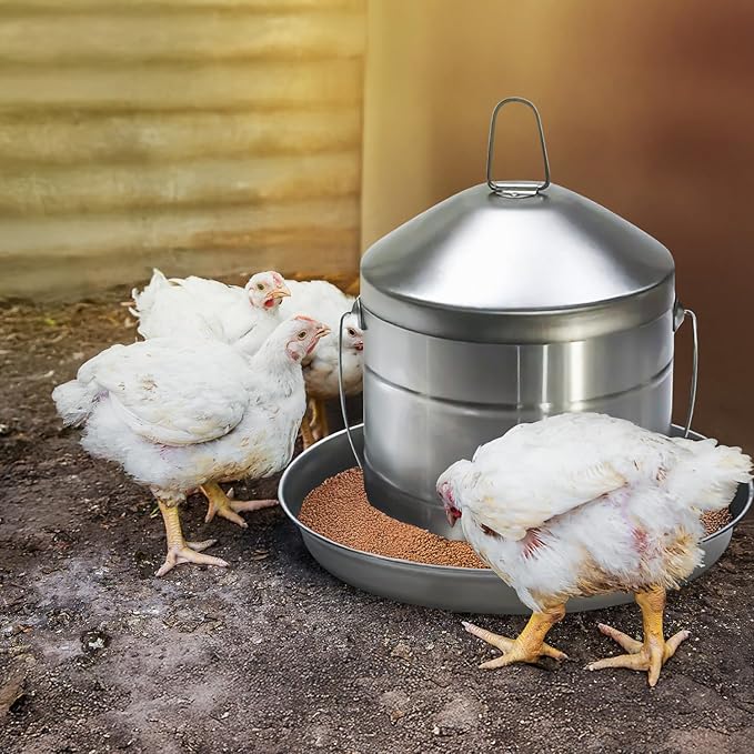 Plexon 17.6 Lb Poultry Feeder Stainless Steel Hanging Chicken Feeder no Waste Food-Grade with 10 Gallon Galvanized Storage Bucket with Locking Lid for Bird Seed Chicken Feed, Bundle