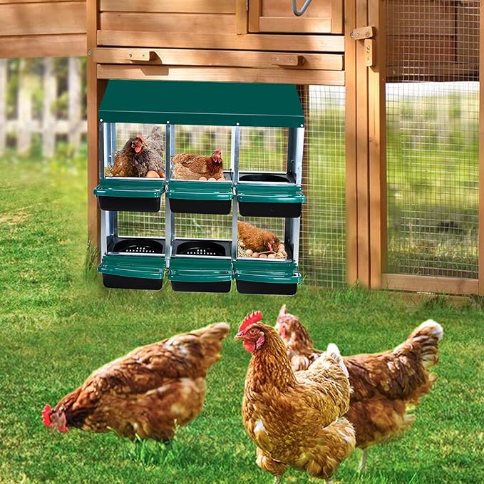 Chicken Nesting Box, 6 Hole 2 Layer Hen Nest Boxes, Roll Away Eggs Laying Boxes,Cleanable Pull Out Hen Roosting Boxes