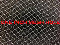 10ft X 25ft New Fishing Net, Bird Netting, Turkey, Hawks, Predaters, Chicken Coops, Coyote