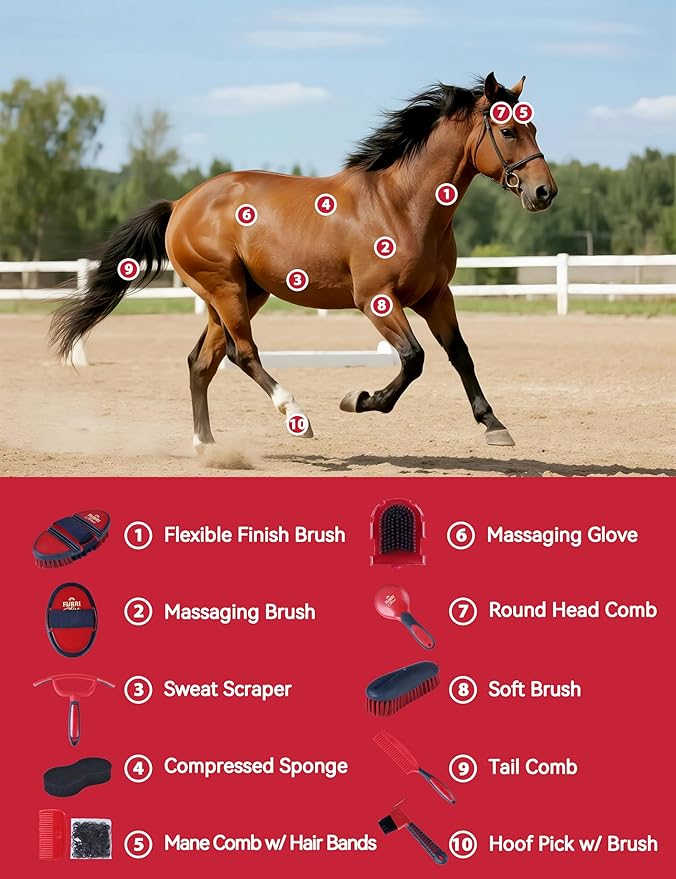 11-Piece Professional Horse Grooming Kit with Waterproof Tote Bag, Non-Slip Silicone Grip Brush Set, Curry Comb, Hoof Pick & Mane Comb Shadowberry