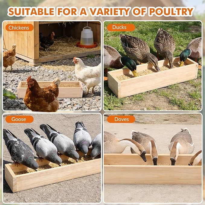 Chicken Feeder, 4 Pack 20” Wooden Large Capacity Eco-Friendly Feed Trough for 24 Chickens Simultaneous Feeding, Healthy Poultry Feeder for Chicken Duck Bird Livestock (Natural Wood)