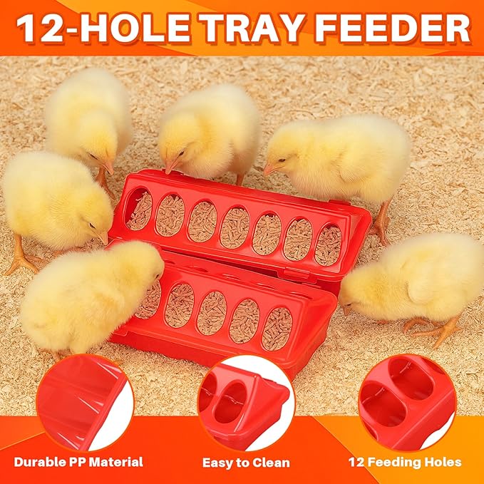 5 Pack 3l Heated Chicken Waterer Chick Perch Set for Winter 0.8 Gallon Heated Poultry Fountain with Leg Support and Flip Top Poultry Feeder for Chicks Ducks Quail
