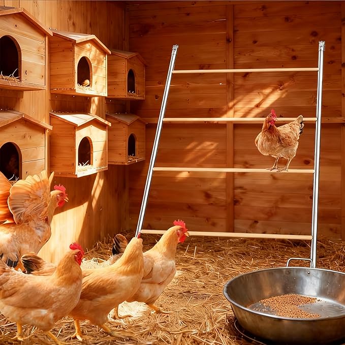 Chicken Perch for Coop, 41" W x 55" L, Chicken Roosting Bars, Toys Roost Ladder for Backyard Poultry, Funny Chicken Coop Accessories
