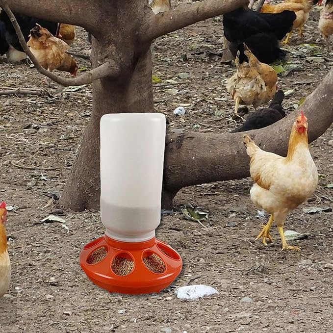 Chicken Feeder Waterer Supplies Chicken Coop Accessories Chicks Backyard Easy Use Portable Hen Pigeon Red Starter Kit, 300 g